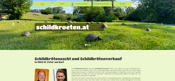 WEBgarten - Webdesign - Braunau | Referenz Webseite schildkroeten.at mit einem Foto von Schildkröten auf einer grünen Wiese und Informationen zur Schildkrötenzucht in St. Peter am Hart.